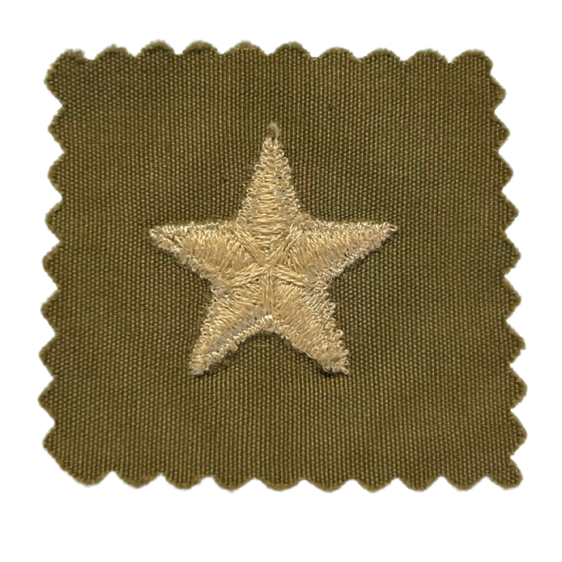 Grade de Brigadier General, en tissu