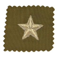 Grade de Brigadier General, en tissu