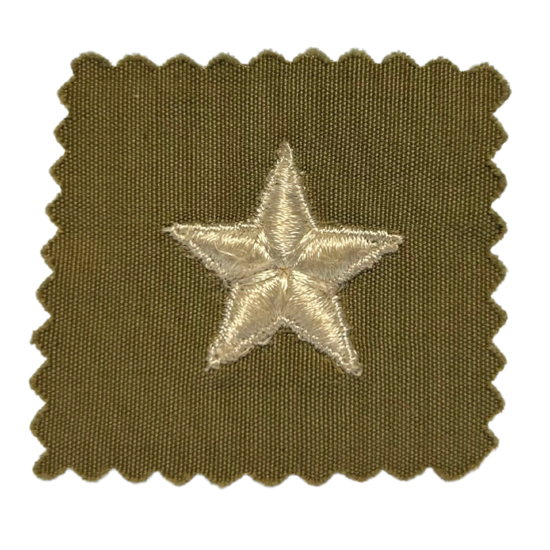 Grade de Brigadier General, en tissu