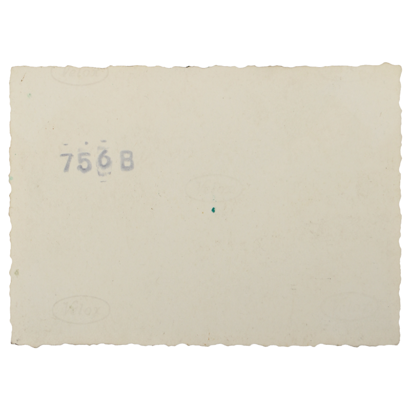 Photograph, 508th PIR, C-47-Skytrain, 441st TCG, Operation Market Garden