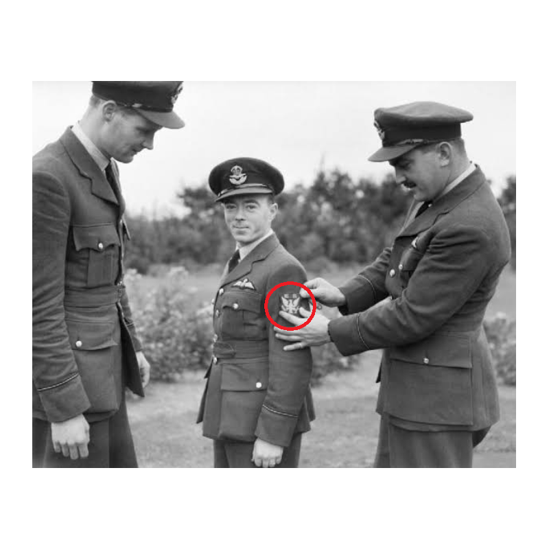 Insigne, Eagle Squadrons, Royal Air Force, volontaires américains