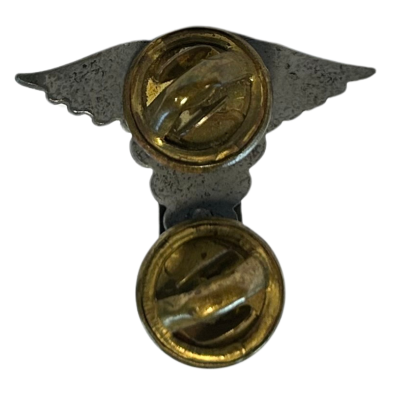 Insigne de col officier, US Army Nurse Corps, à pin's