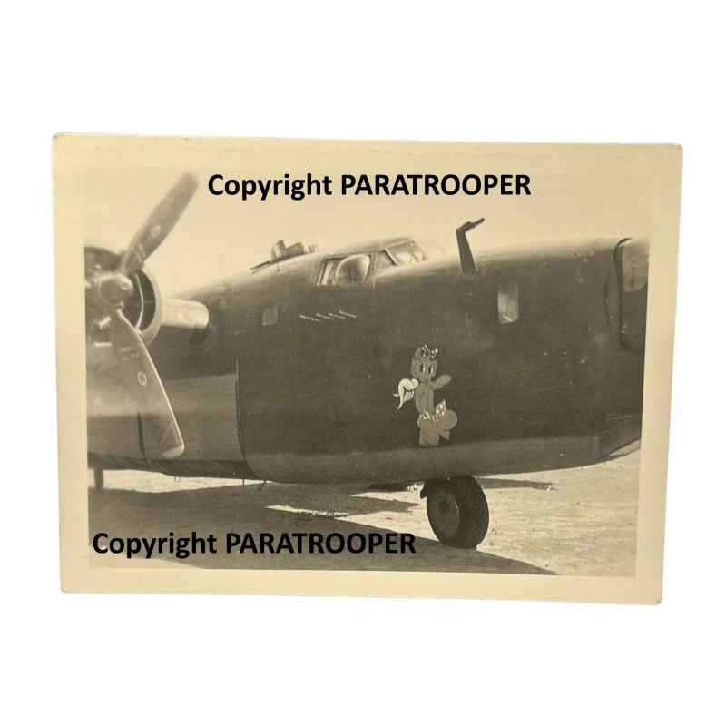 Photo, USAAF, B-24, Nose Art