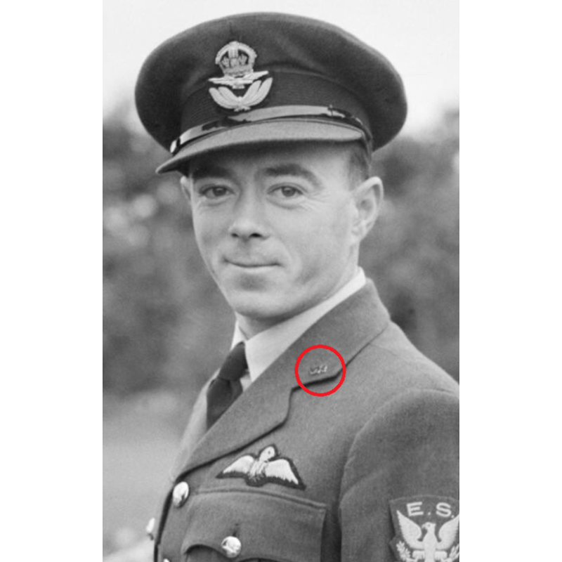 Paire d'insignes de col, Volunteer Reserve, Royal Air Force