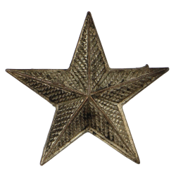 Insigne de grade, Brigadier General