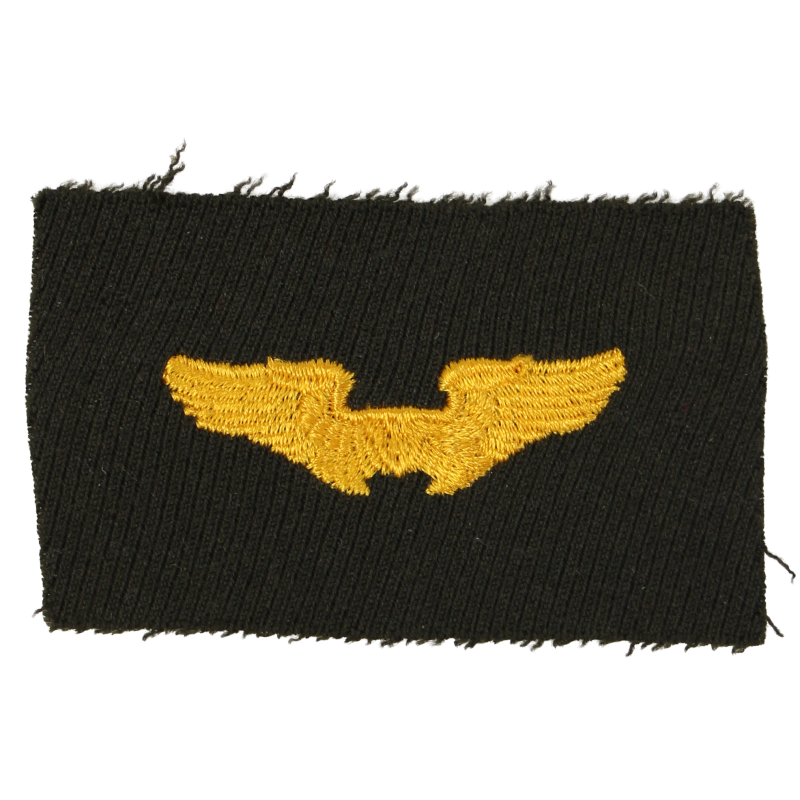 Insigne, Flight Instructor, USAAF