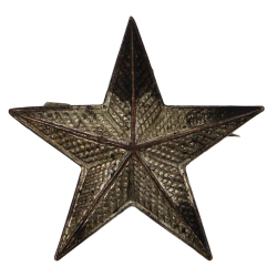 Insigne de grade, Brigadier General