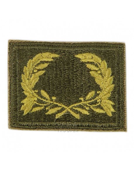 Badge, Meritorious Service Unit