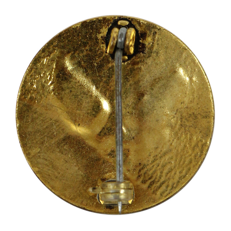 DUI, USAAF, Pin Back