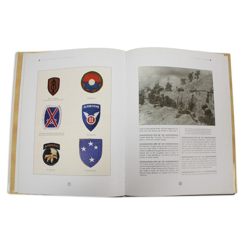 Livre, American Military Insignia
