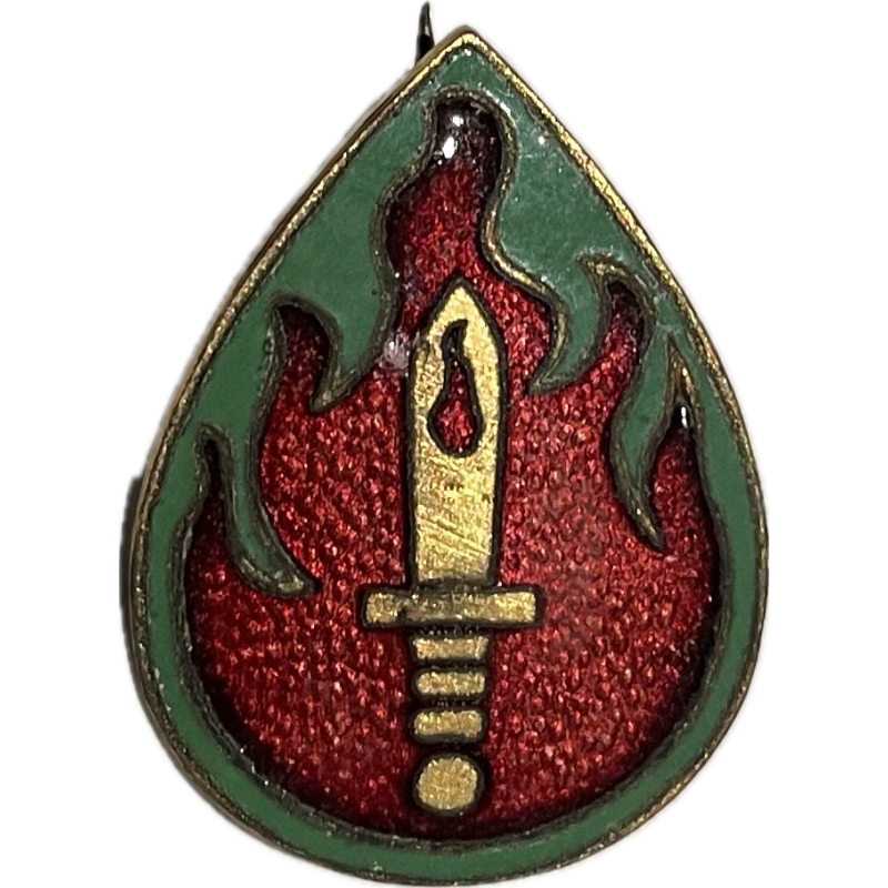 DUI, 63rd Infantry Division, Pin Back