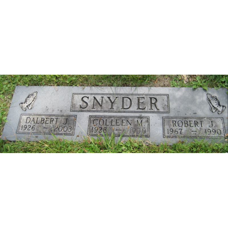 Medal, Bronze Star, Pfc. Dalbert Snyder, Co. E, 2nd Inf. Regt., 5th Infantry Division, WIA, ETO