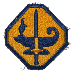 Insigne, Army Specialized Training Program Reserve