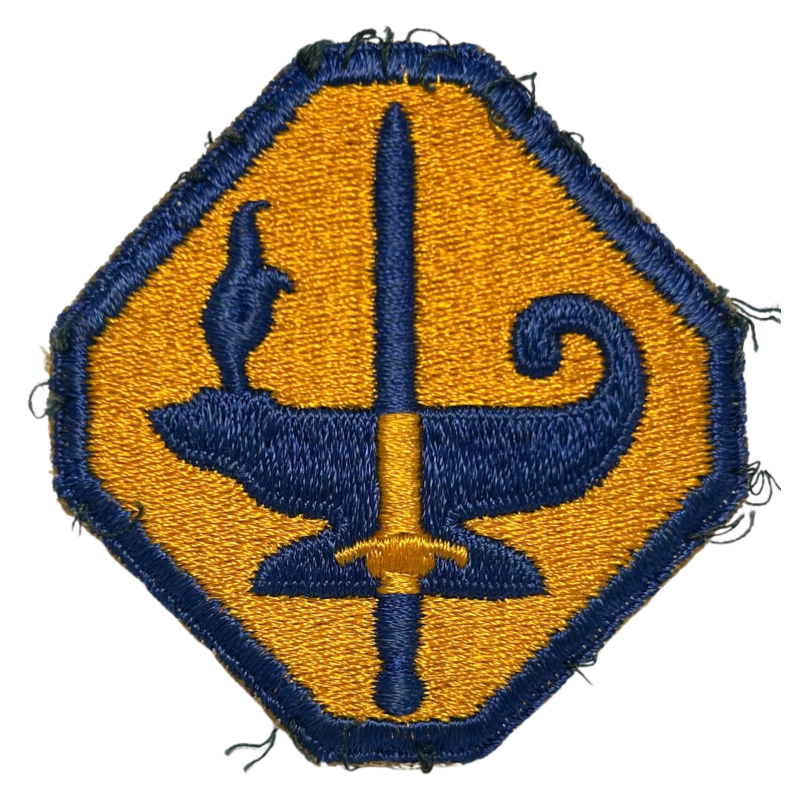 Insigne, Army Specialized Training Program Reserve