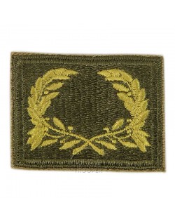 Insigne Meritorious Service Unit