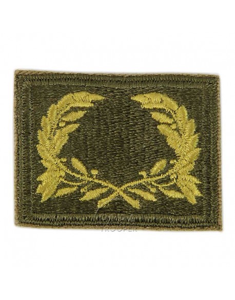 Insigne Meritorious Service Unit