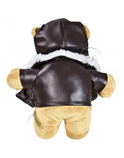 Teddy bear, pilote