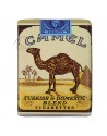 Cigarettes, Camel