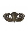 Wings, Parachutist, with clutchs, 2 stars